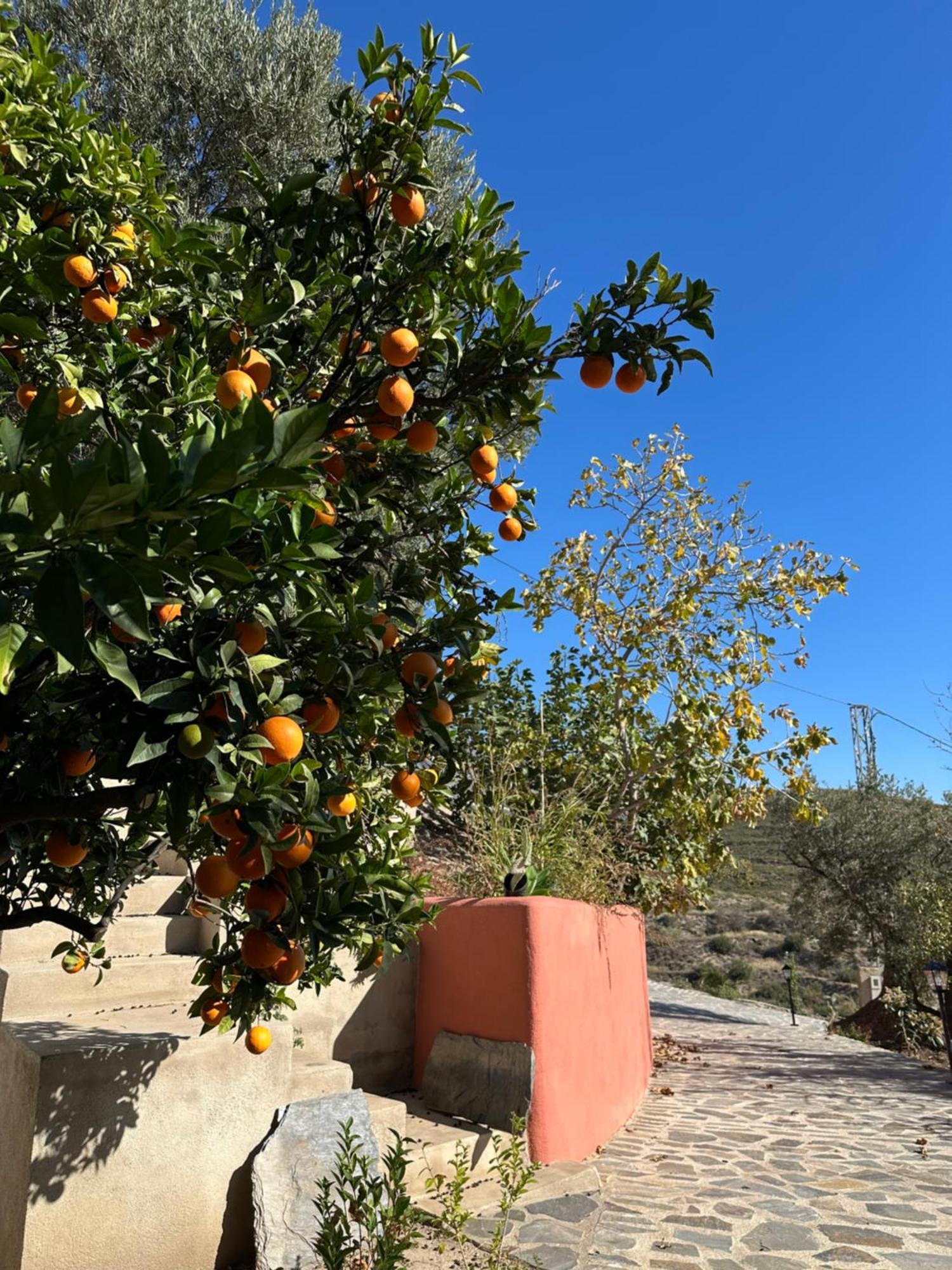 Сasa de vacaciones Cortijo Al-andalus Orgiva