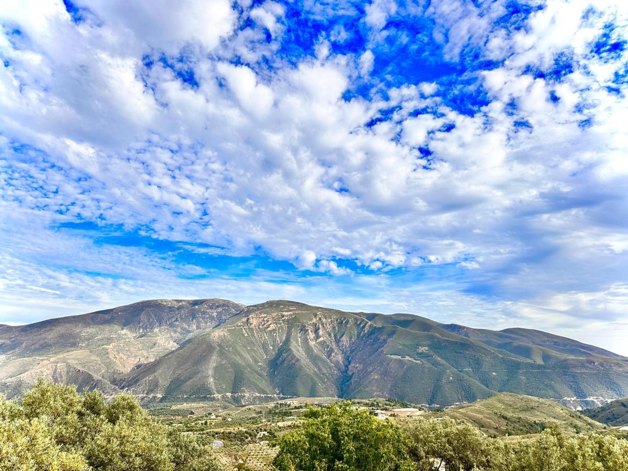 Cortijo Al-andalus *