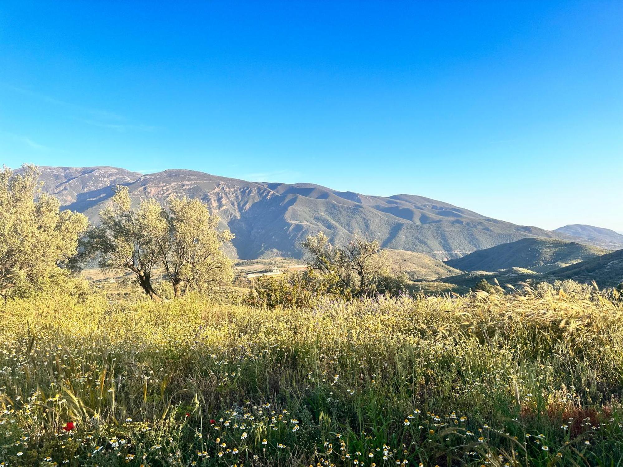 Cortijo Al-andalus Ferienhaus Orgiva