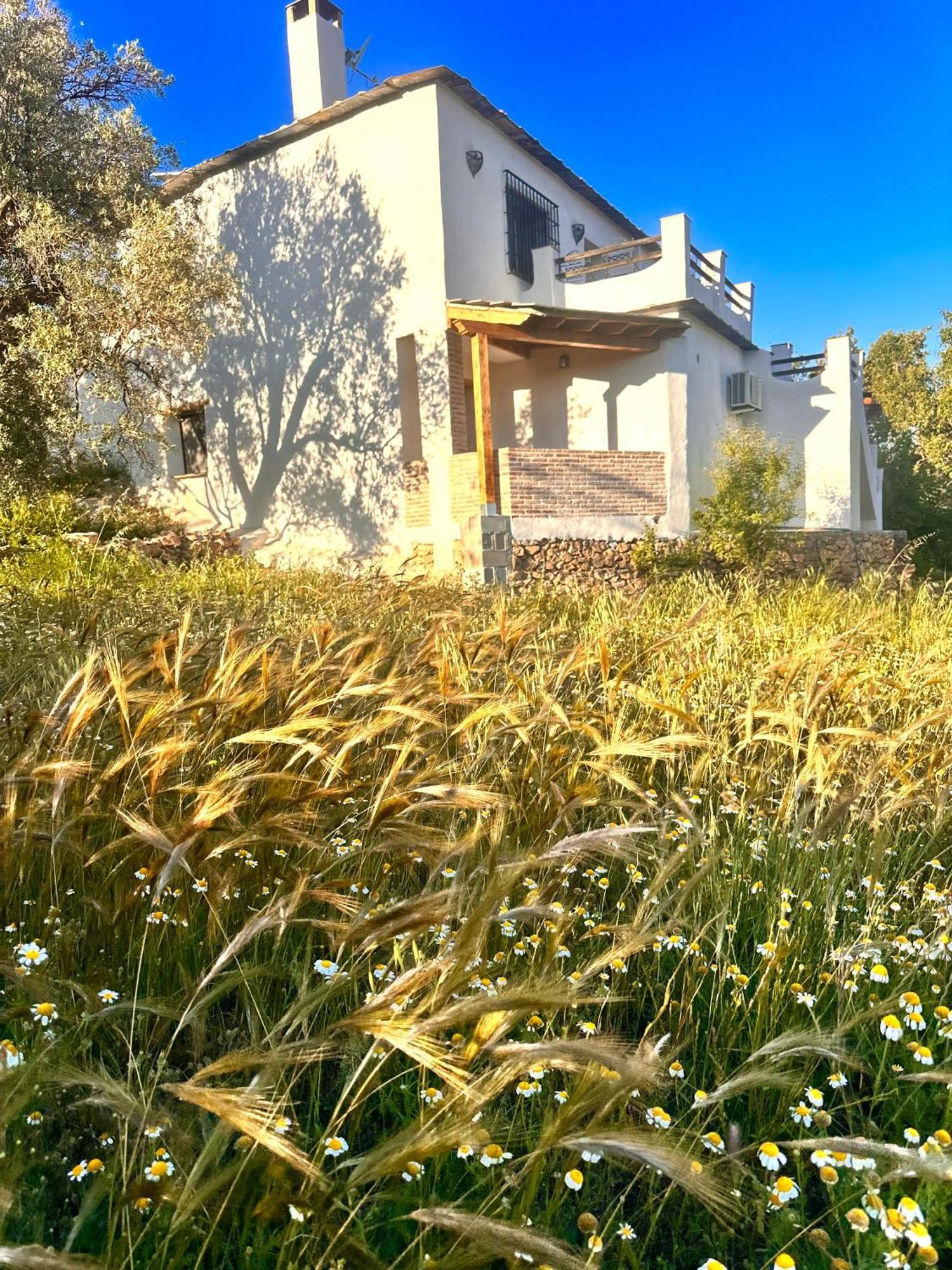Cortijo Al-andalus