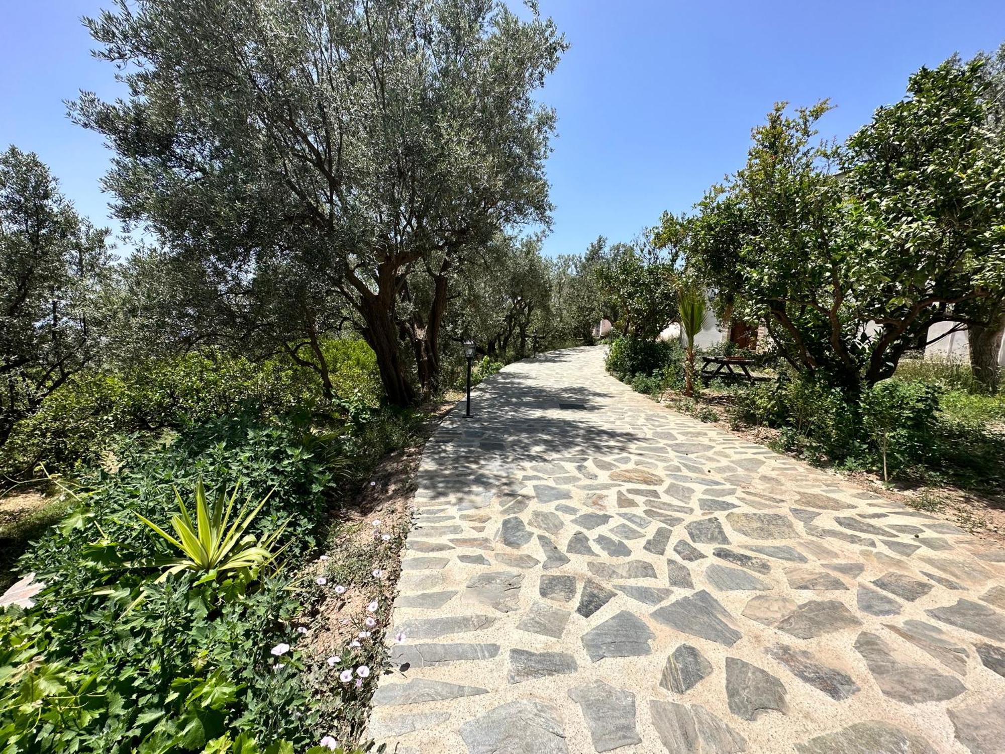 Cortijo Al-andalus Holiday home