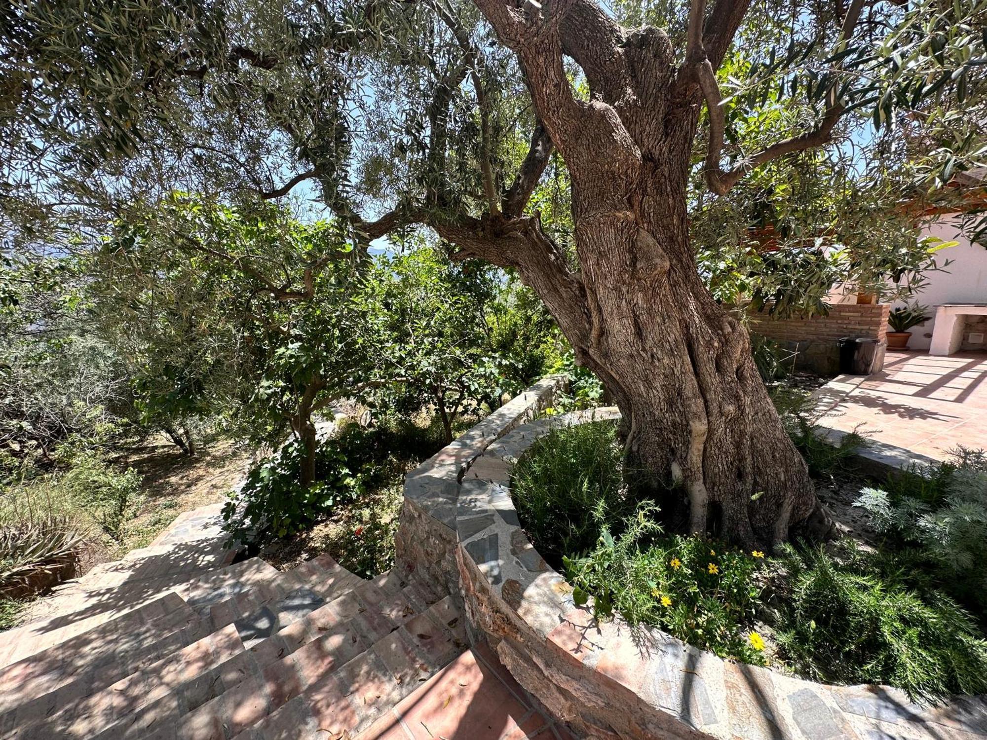 Ferienhaus Cortijo Al-andalus *