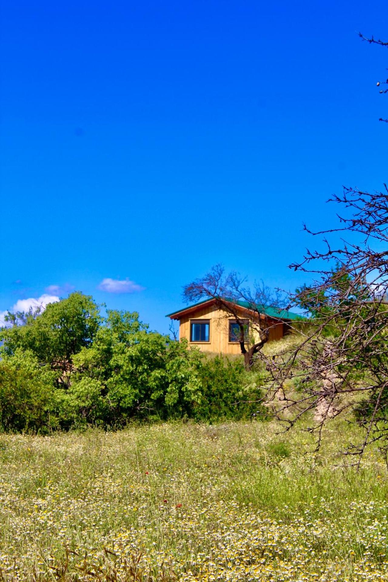 Ferienhaus Cortijo Al-andalus *