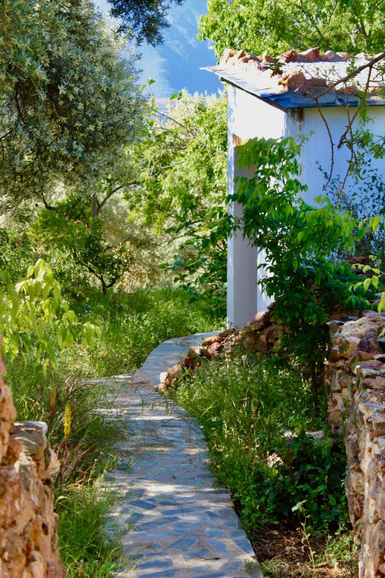 Cortijo Al-andalus * Orgiva